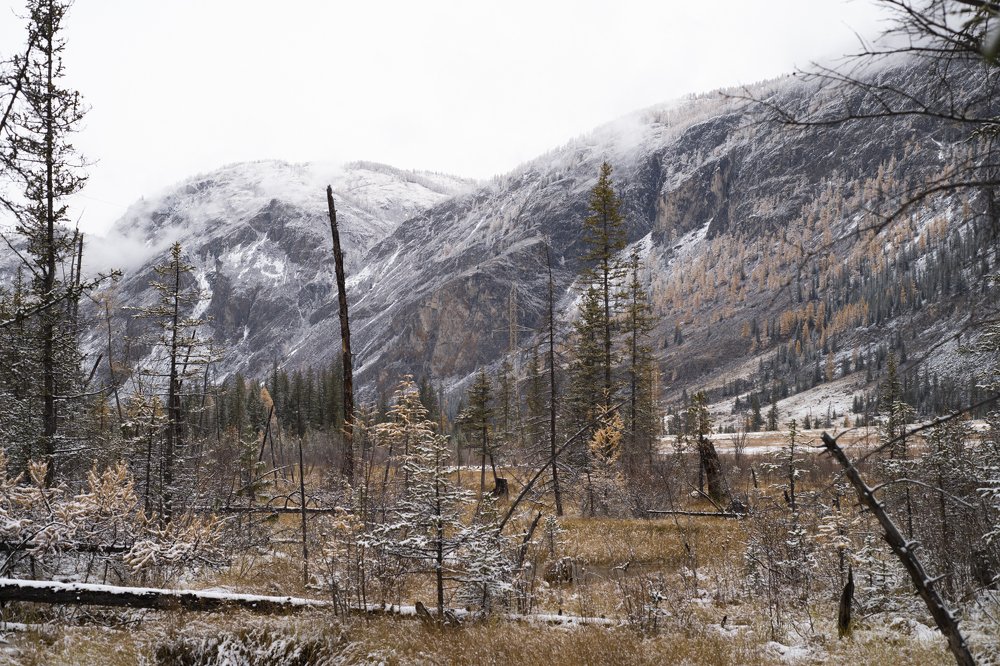 Photograph by Сергей Шерстнев