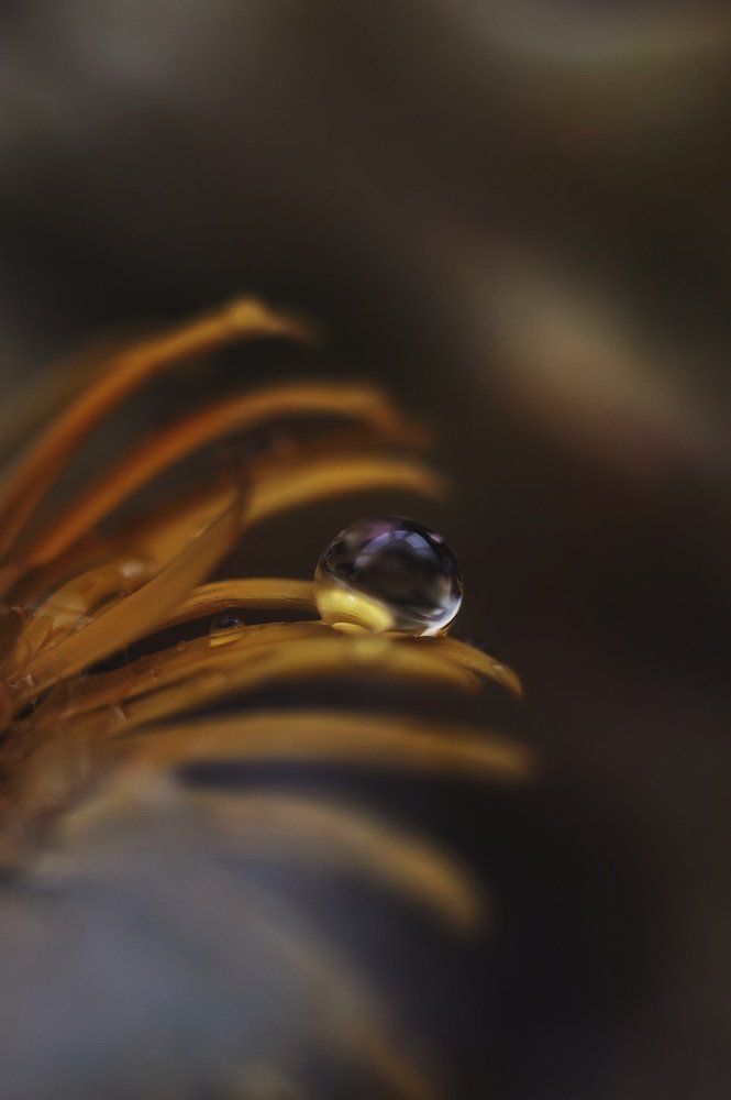 Photograph by Наталья Шленкина