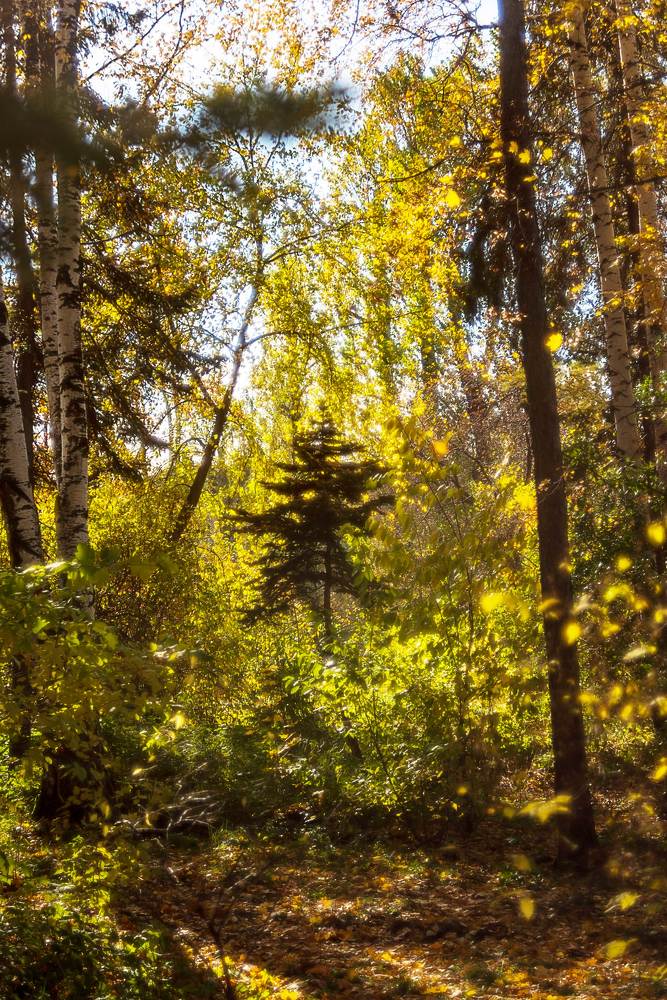 Photograph by Сергей Киселев