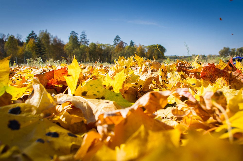 Photograph by Dmitry Chertov