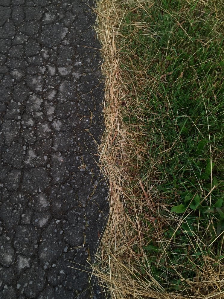 Photograph by Анастасия Козлова