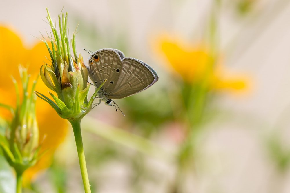 Photograph by Сергей