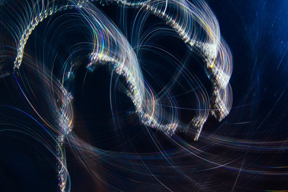 Photograph by Evgeniya Gribova