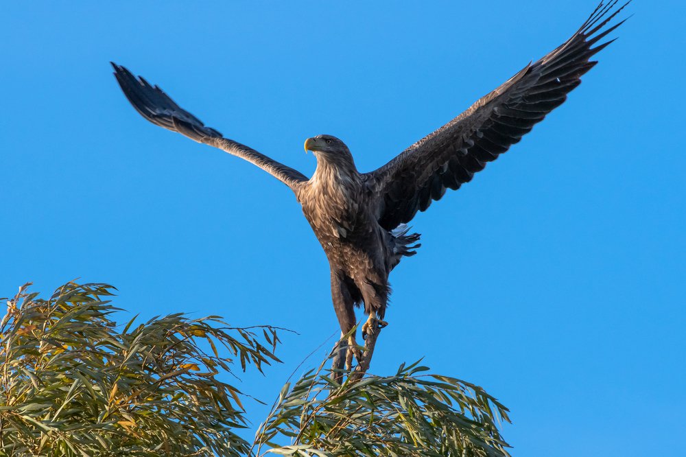 Photograph by Андрей Иванов
