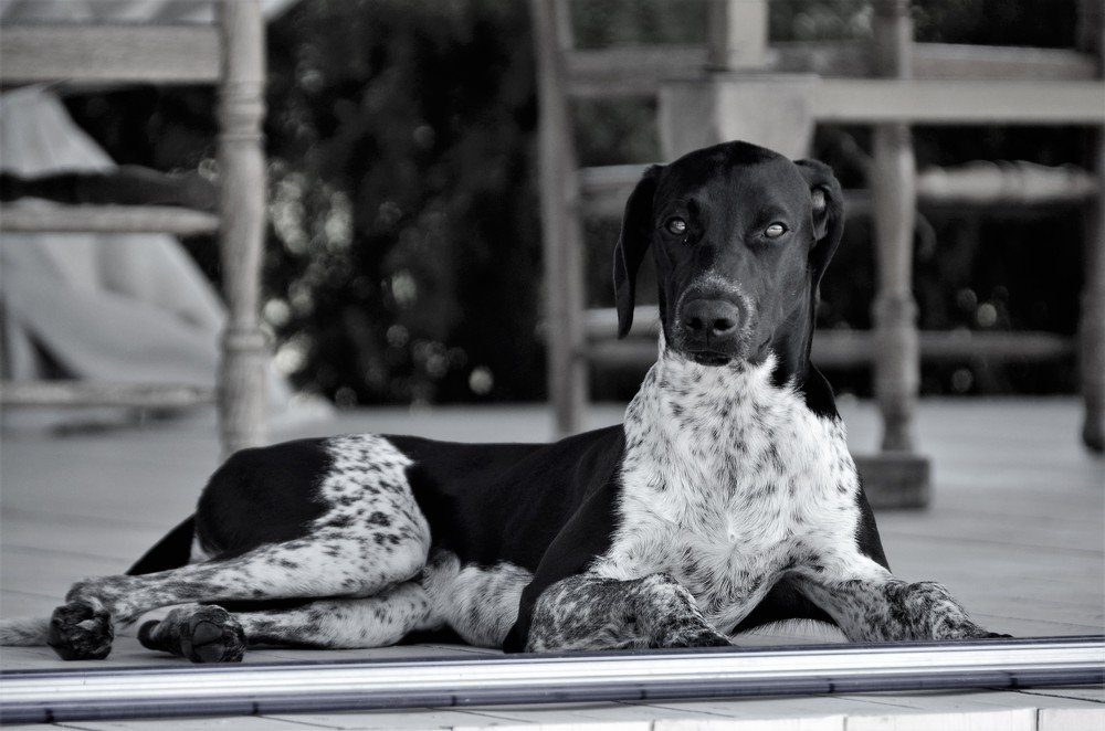 Доволен собой