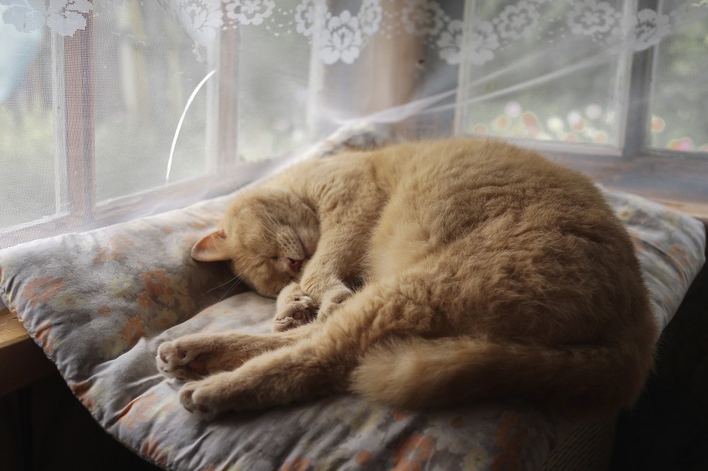 Photograph by Irina Volkova