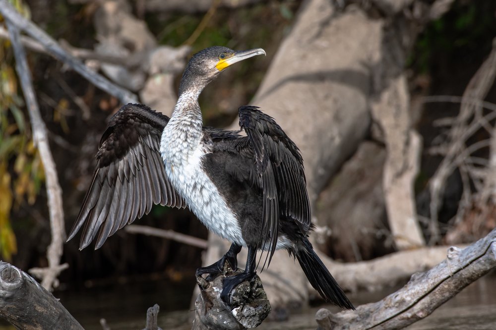 Photograph by Андрей Иванов