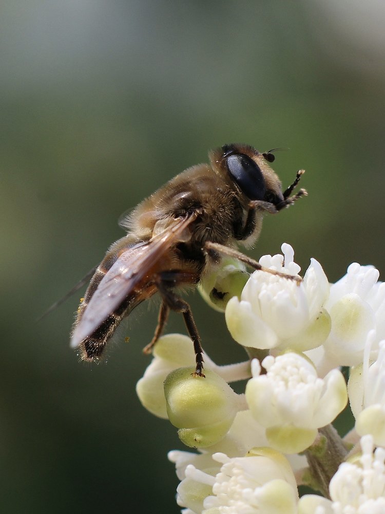 Photograph by Светлана Богомолова