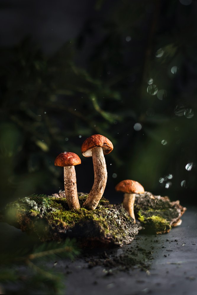 Фотография автора Julia Karaseva