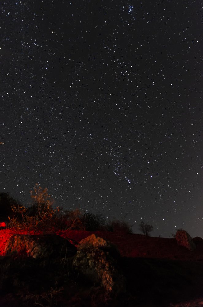 Photograph by Александр Щербаков