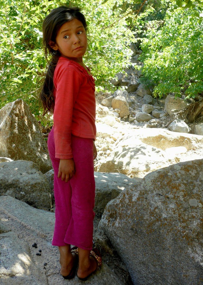 Photo #5155462