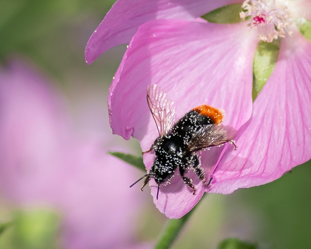 Photograph by Anna Sindikayeva