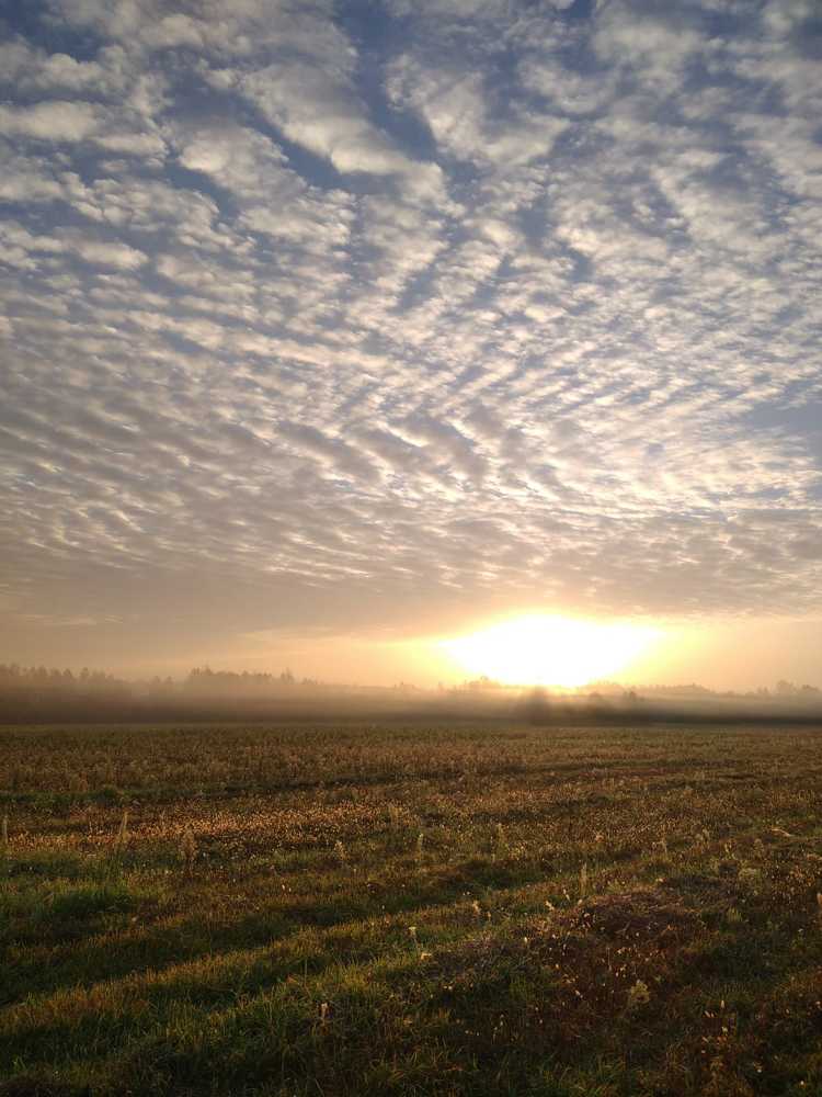 Photograph by Юлия Дейкун