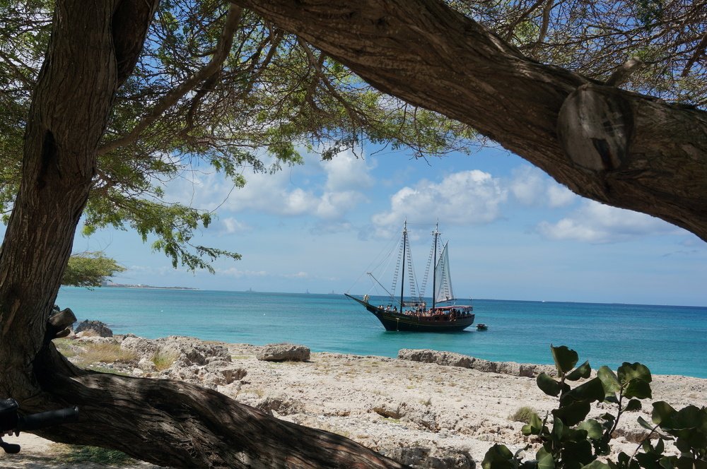 Photograph by Karina Elena Bergagna