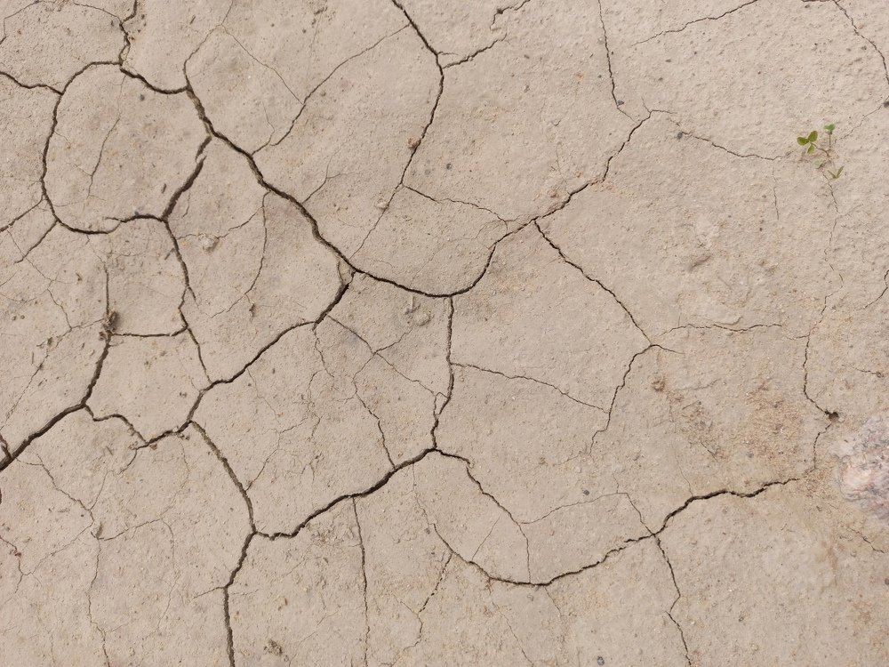 Фотография автора Juli Vvelentini