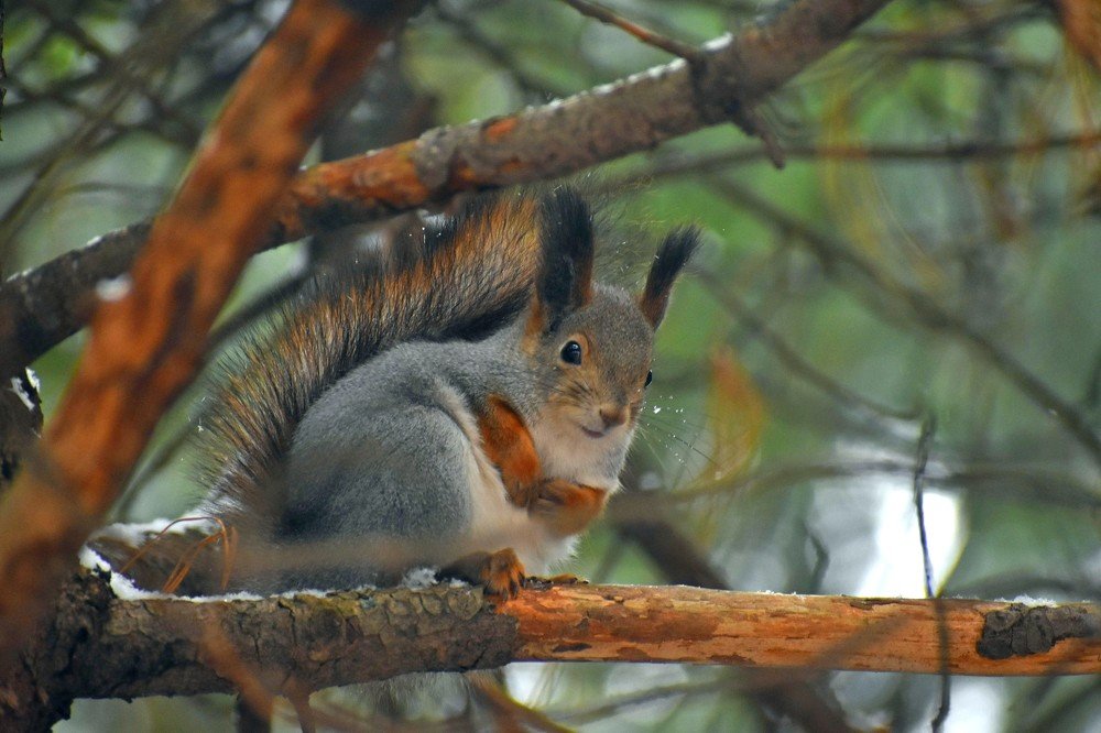 Photograph by Наталья Аржинт