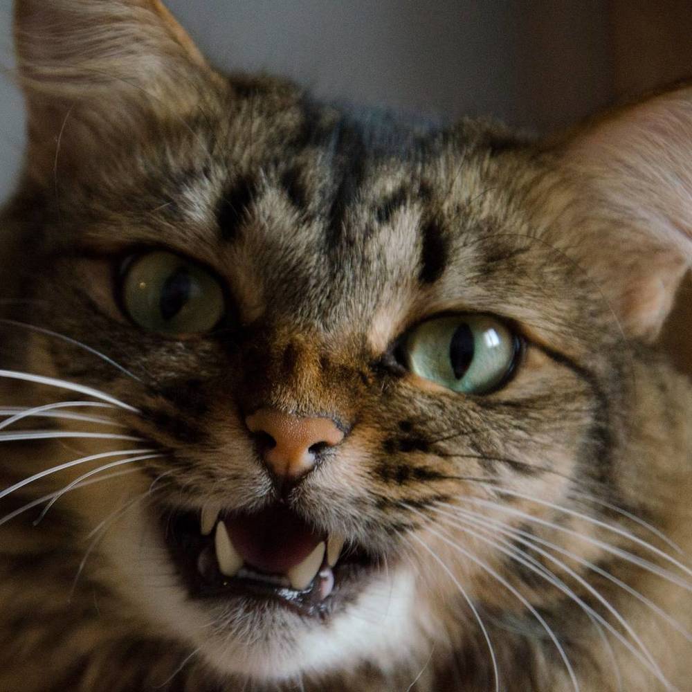 Photograph by Анна Васильева