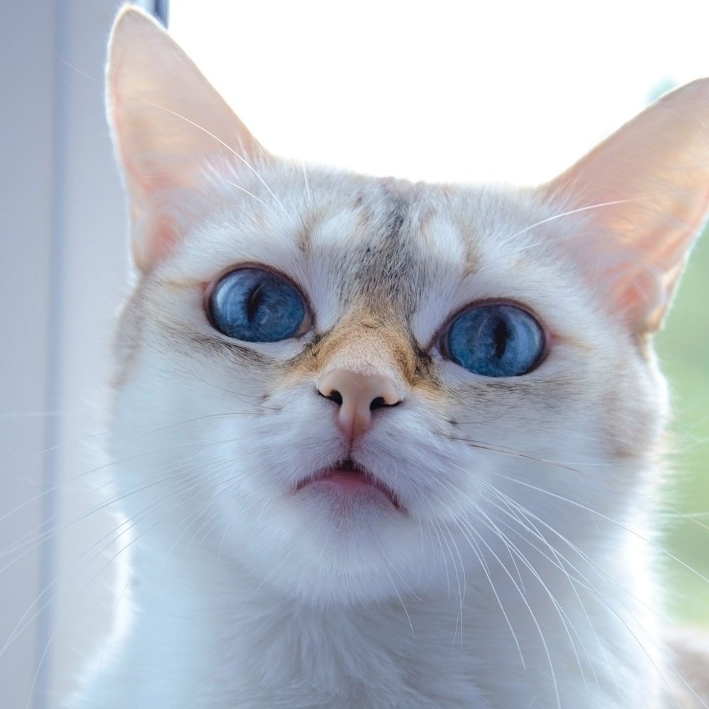 Photograph by Анна Васильева