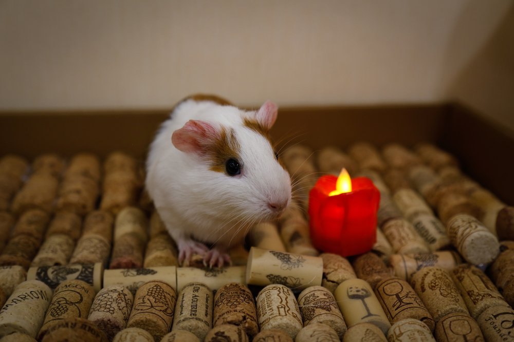 Photograph by Елена Буканина