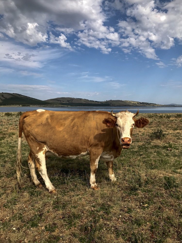 Сентябринка