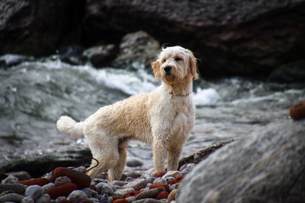 Photograph by Olga Vasina