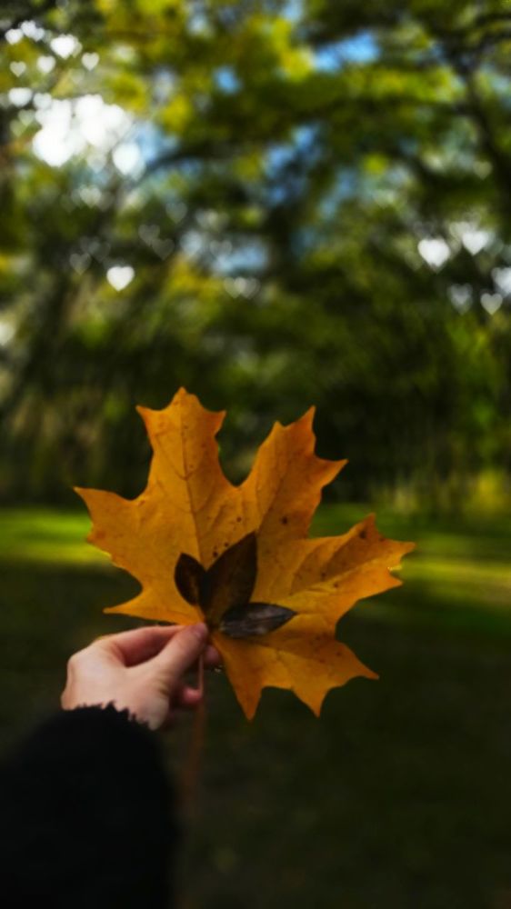 Photograph by Ольга Жогина