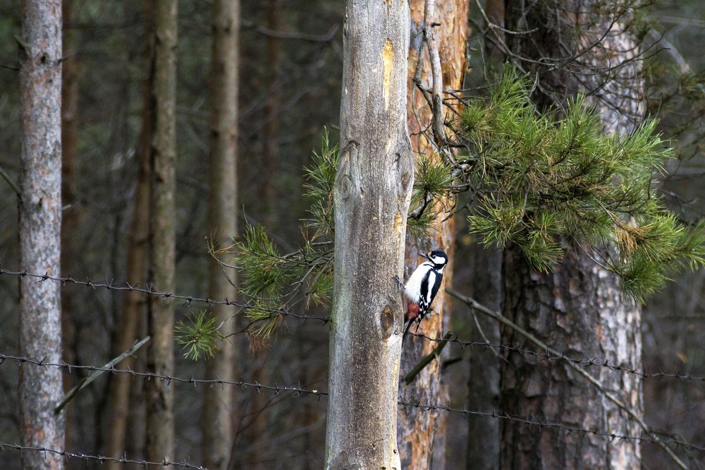 Photograph by Утёмов Сергей