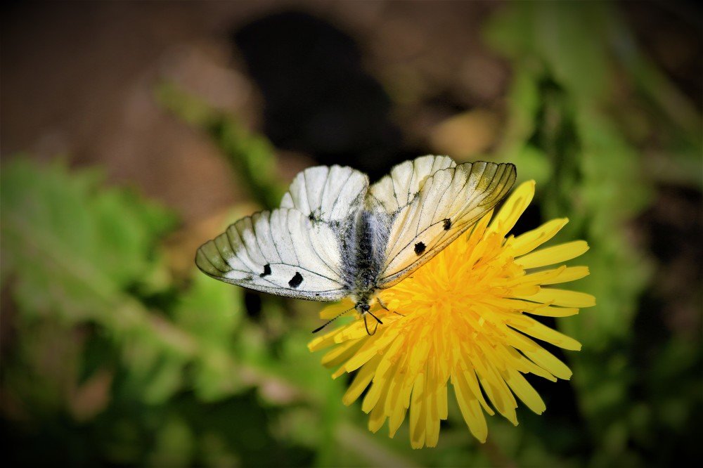 Photograph by Марина Игнатьева