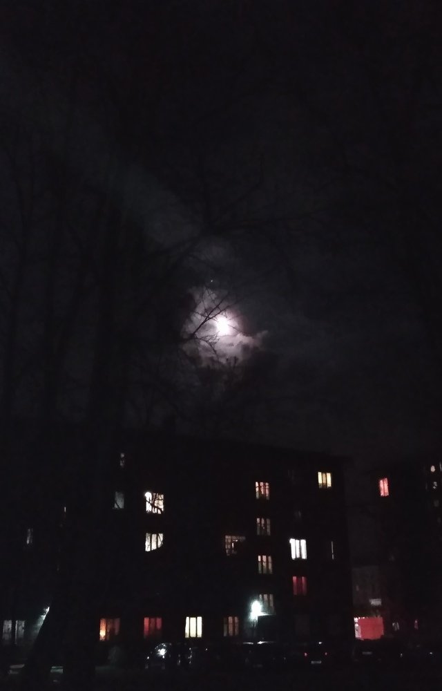 Photograph by Елена Малкова