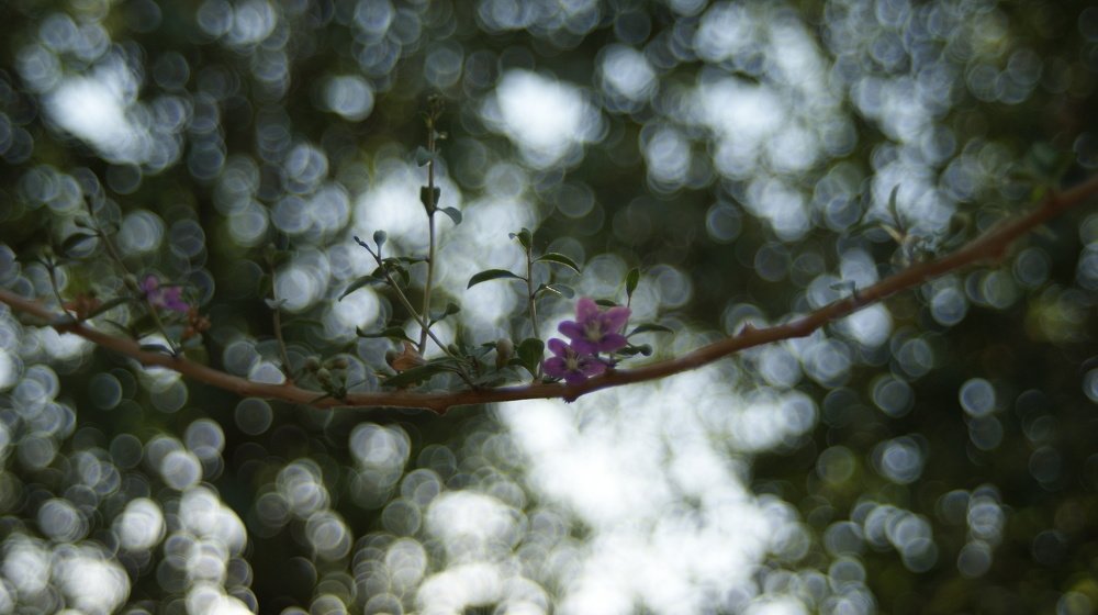 Photograph by Fethi Geçer
