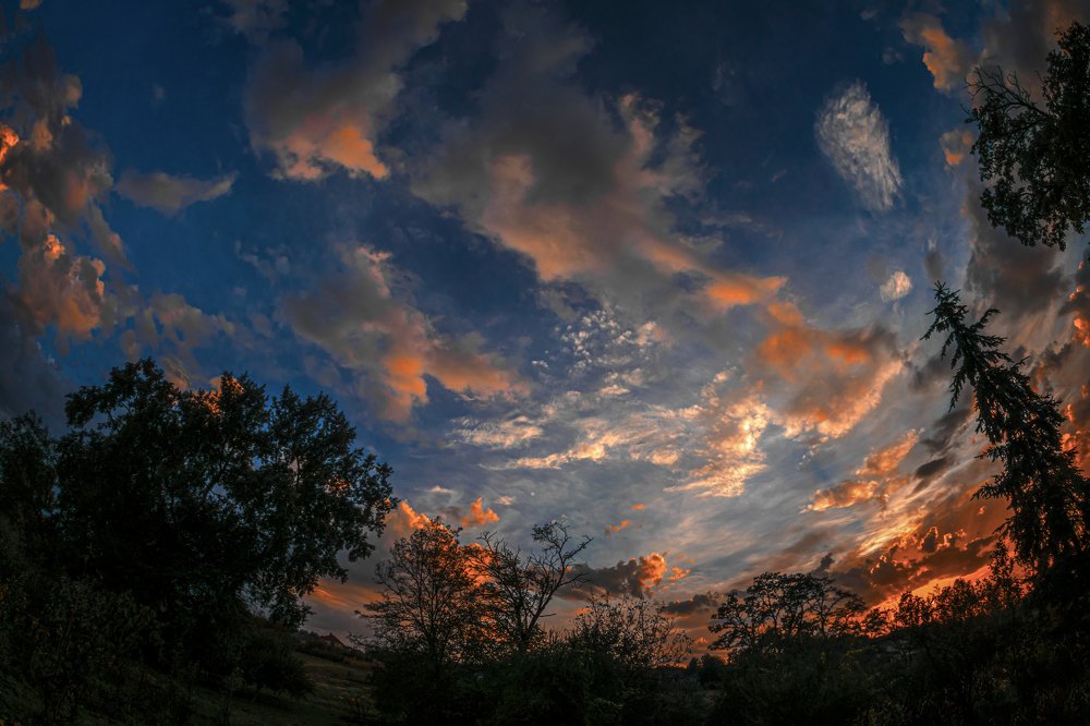 Photograph by Serhij Kharchenko