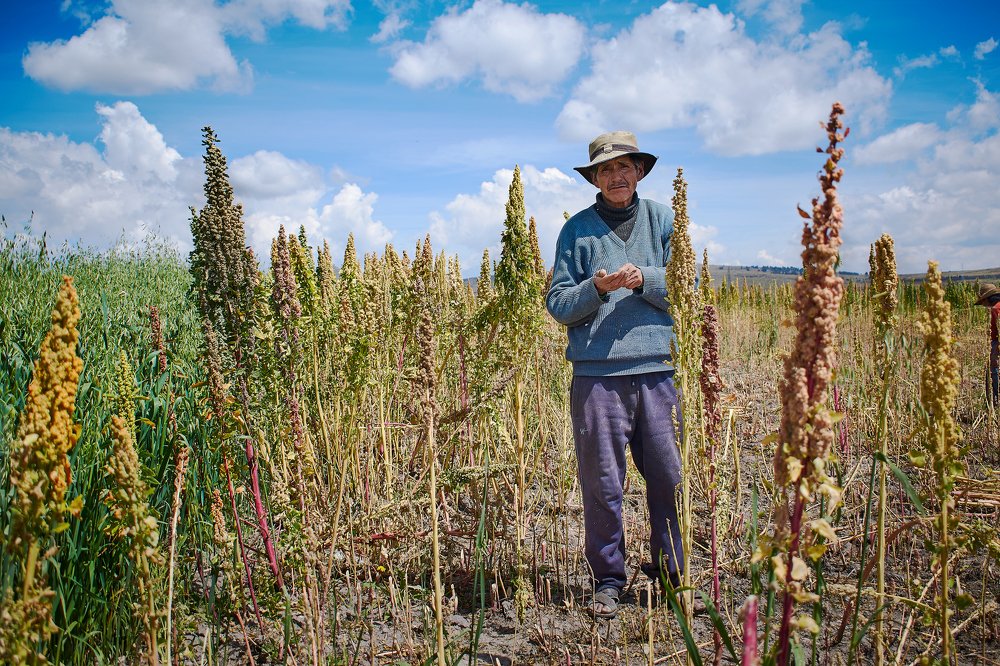 Фотография автора Mino Swayne