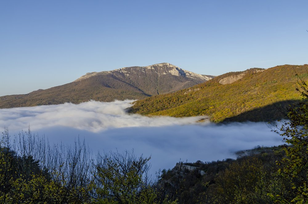 Photograph by Александр Щербаков