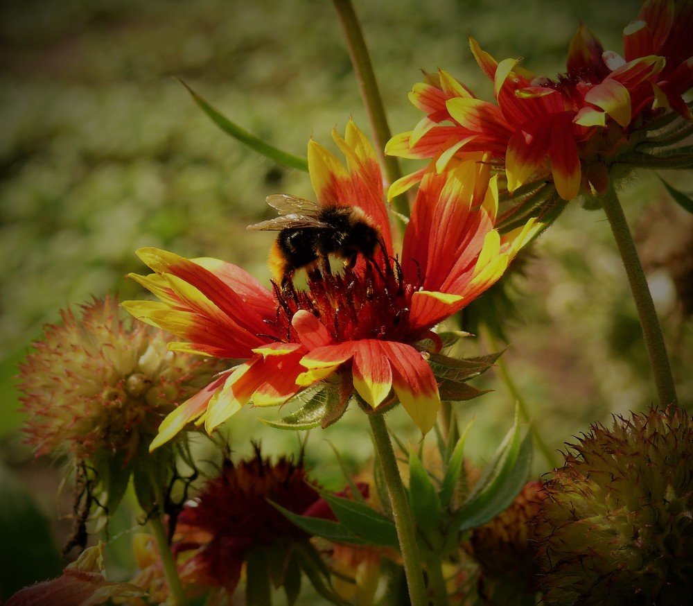 Photograph by Марина Игнатьева