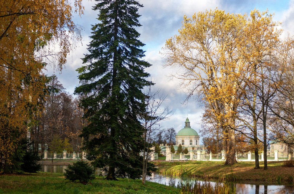 Photograph by Владимир Кириллов