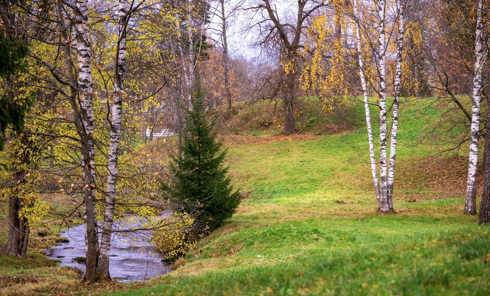 Photograph by Владимир Кириллов