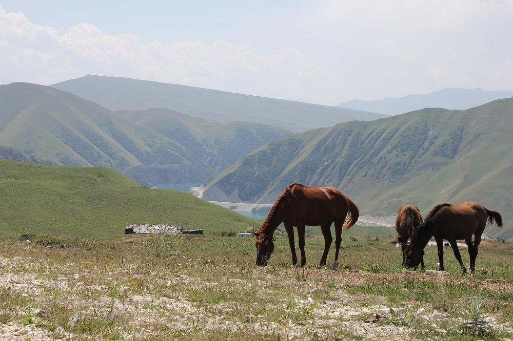 Photograph by Хасаймирза Хасаймирзаев