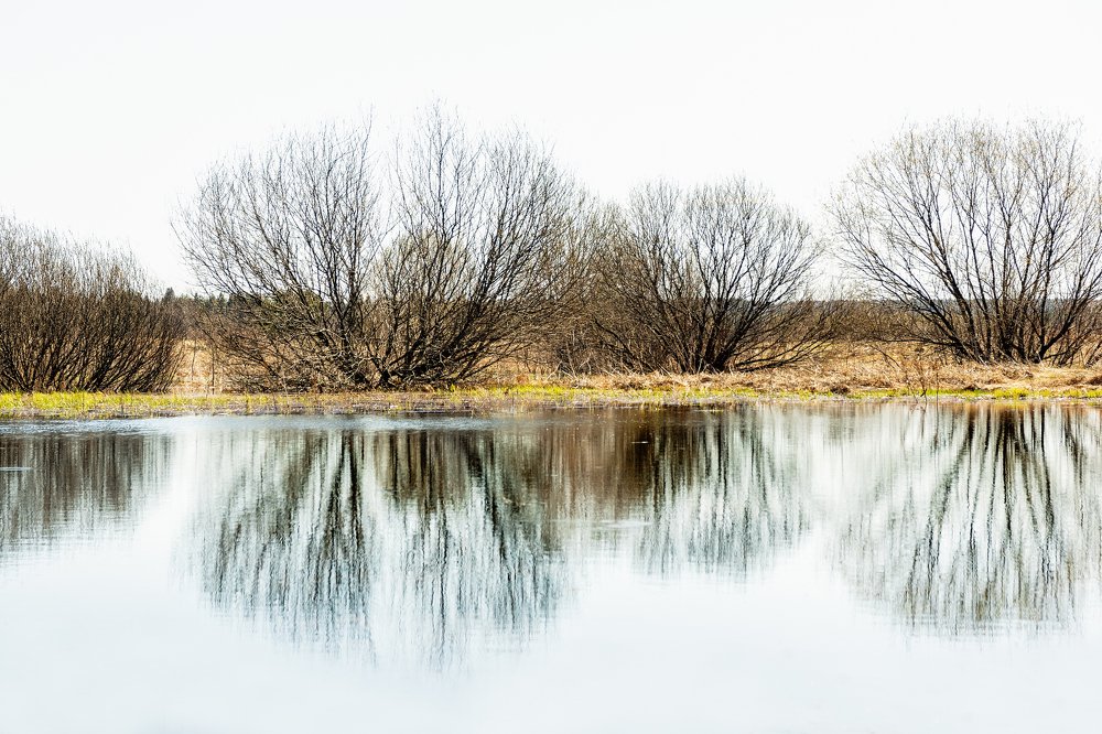 Осень на Обве.