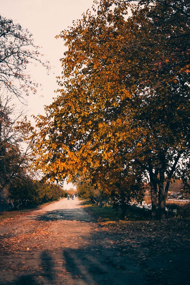 Photograph by Светлана Ветрова