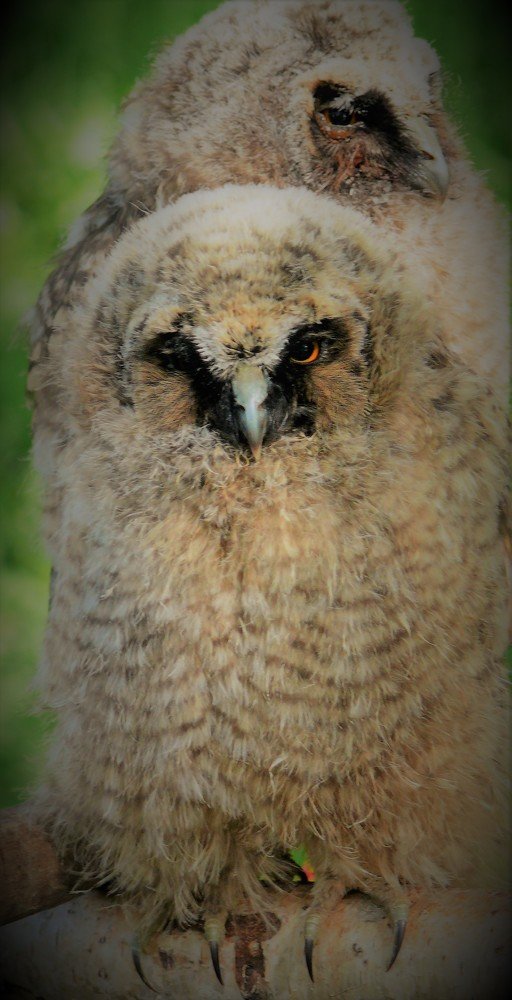 Photograph by Марина Игнатьева