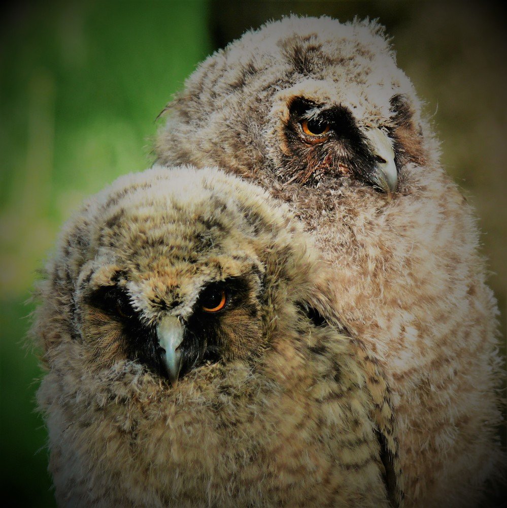 Photograph by Марина Игнатьева