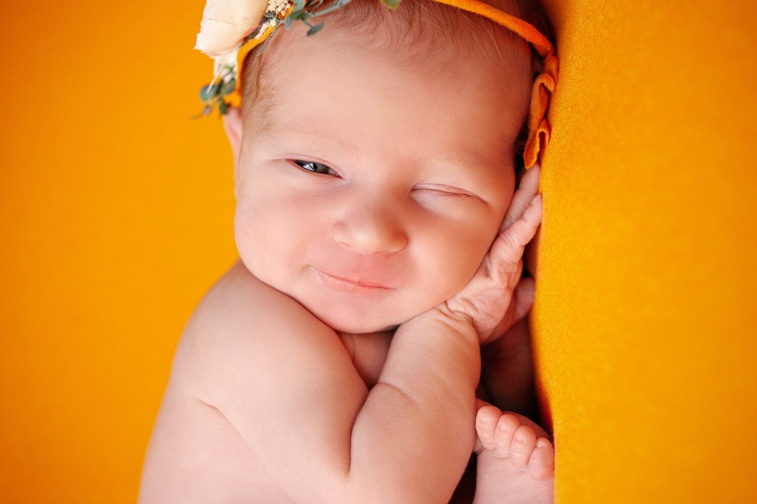 Photo #5156234
