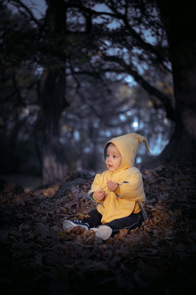 Photograph by Максим Леонтьев