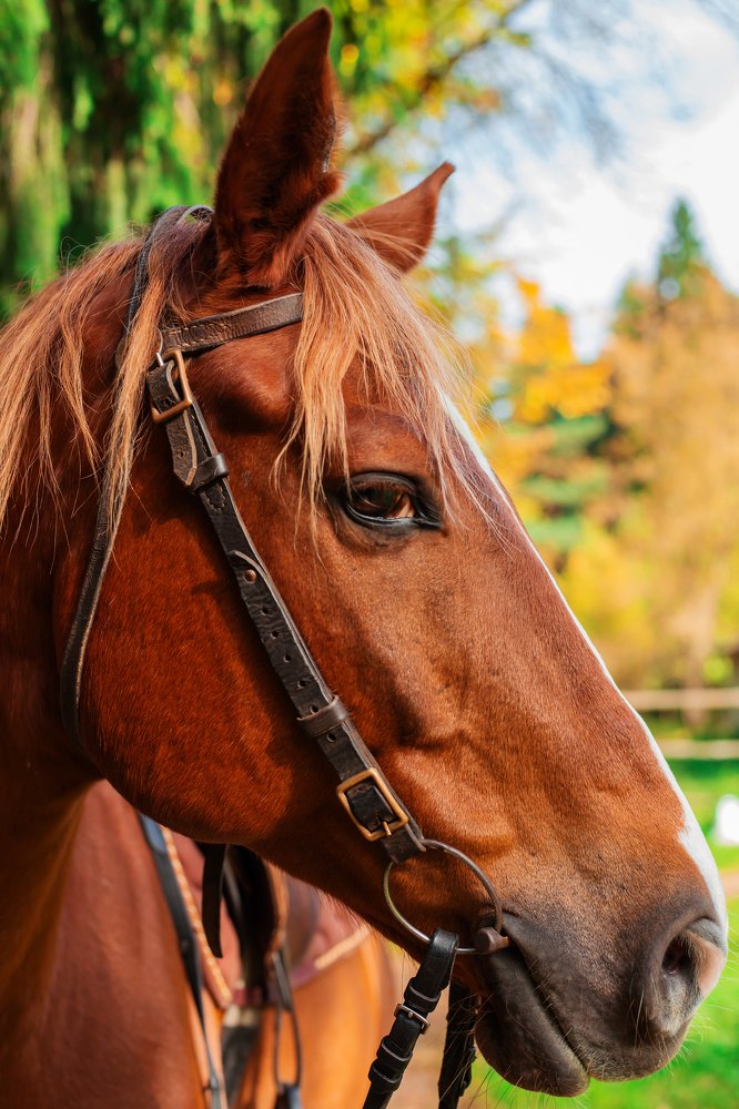 Photograph by Наталья Золотарева