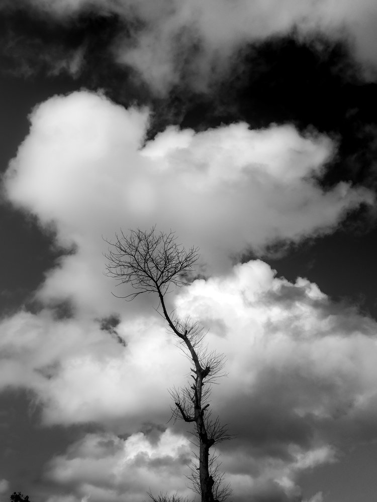 Photograph by Rohit Tonapi