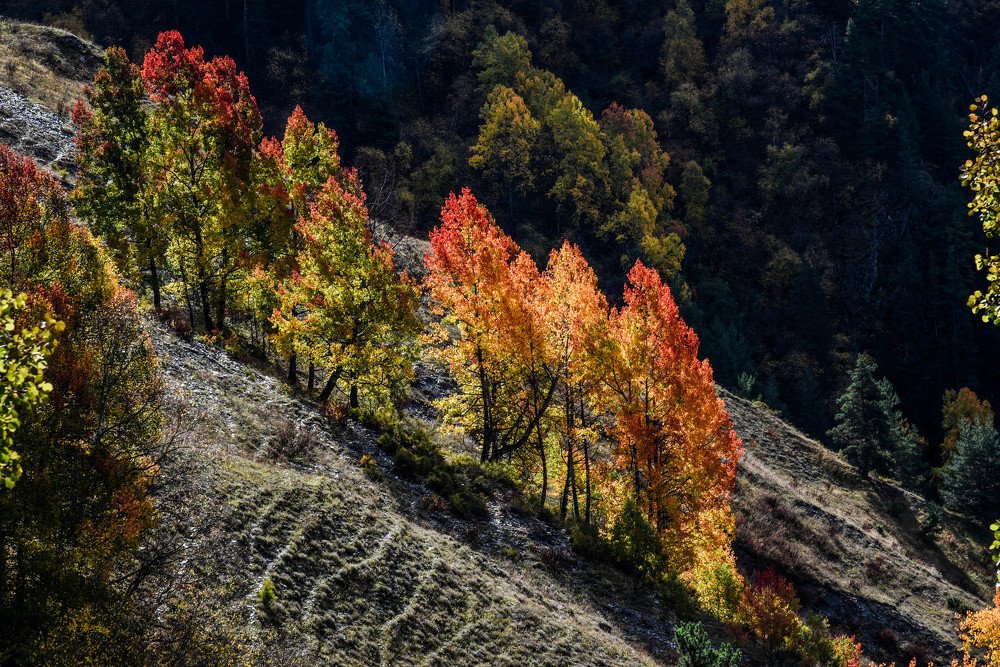 Магия осенних красок.
