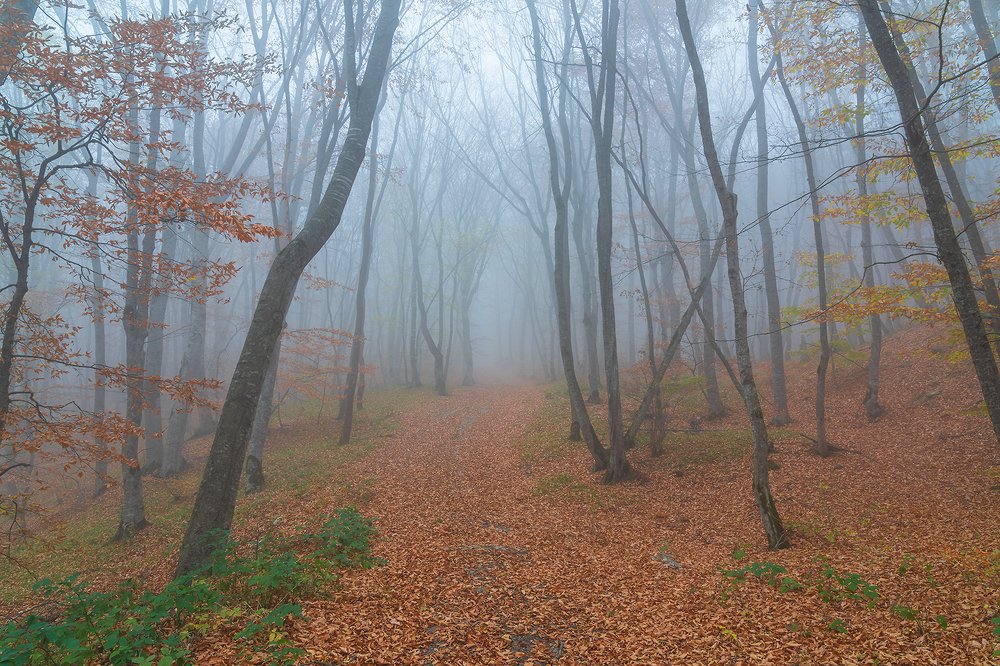 Фотография автора Valery