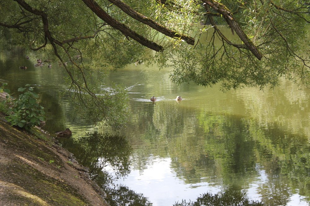 Photograph by Юрий Макаренко