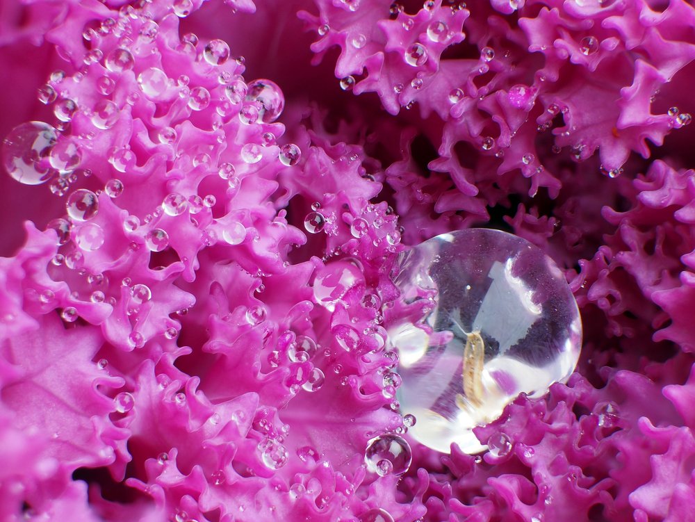 Фотография автора Denes Doma