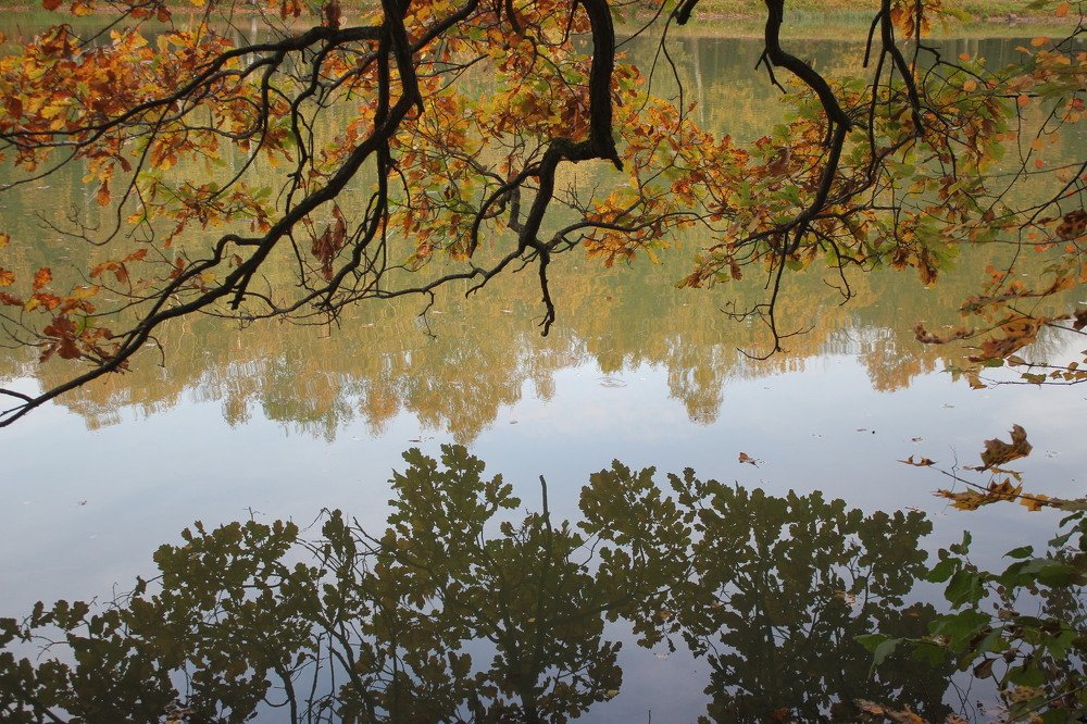 Photograph by Юрий Макаренко
